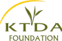 foundation